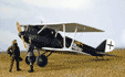 Pfalz D.IIIa